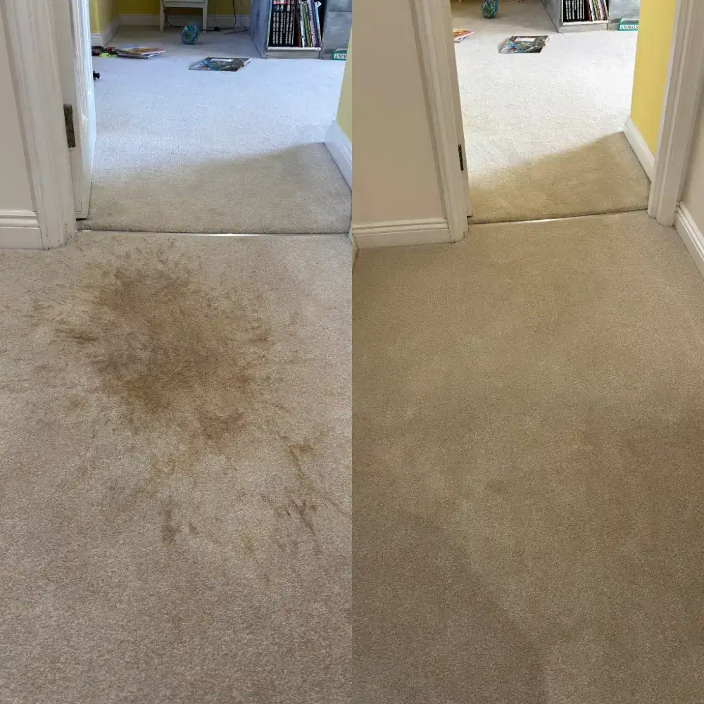 Hallway carpet stain removal before and after