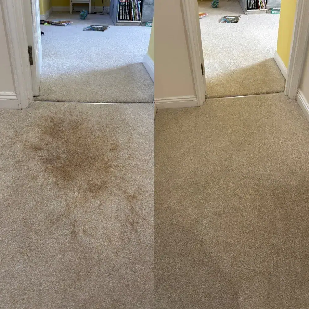 Heavy hallway carpet stain restored before and after